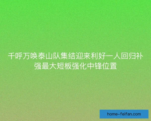 千呼万唤泰山队集结迎来利好一人回归补强最大短板强化中锋位置